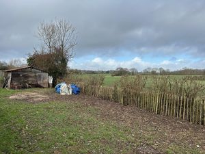 Photo 7- click for photo gallery